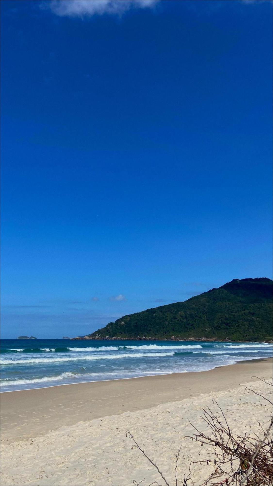 Edicula No Norte Da Ilha Otel Florianópolis Dış mekan fotoğraf